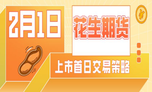 花生期貨的手續費是多少？
